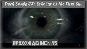 Dark Souls II: Scholar of the First Sin. Прохождение на платину 100% №15