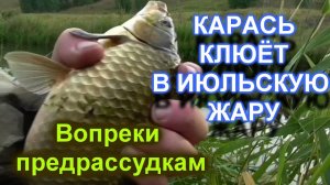 Страсти по карасю. Клюёт карась в июле. Карась Карась Карась