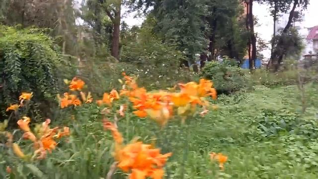 Владивосток - Москва. Дорога домой. Часть девятая. смотреть онлайн