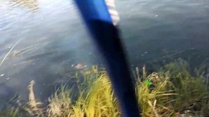 Рыбалка в Искитиме на реке Бердь.