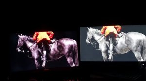 QLED IPS vs LED IPS