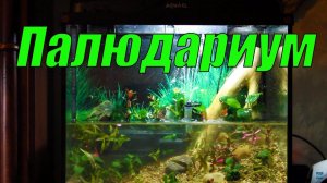 Создал палюдариум с водопадом!