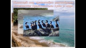 Самые удивительные заповедники России