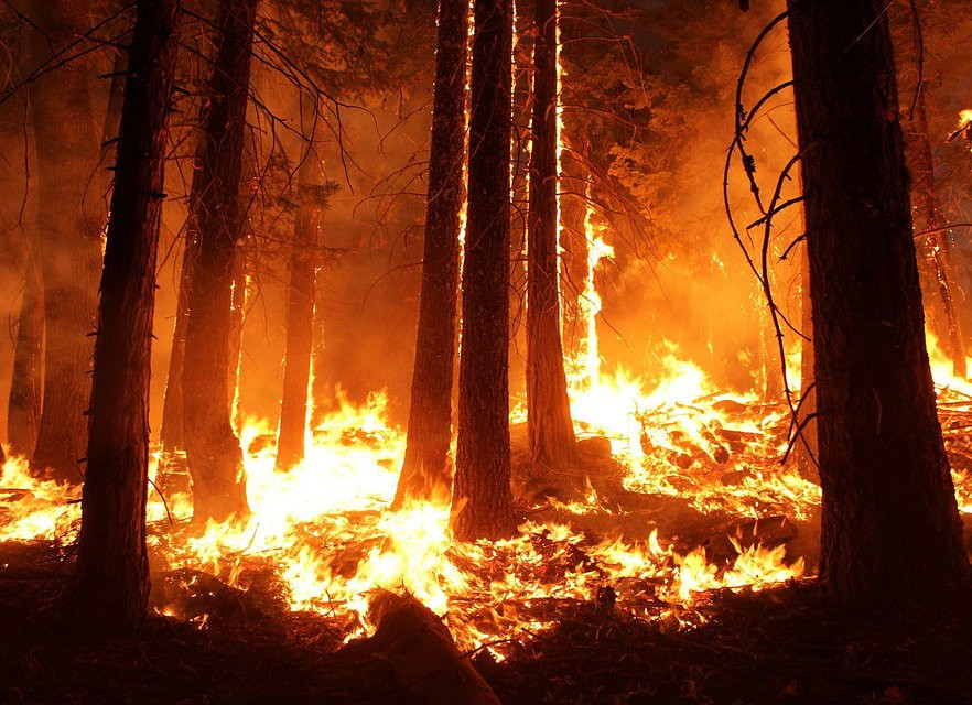 Лесные пожары в Приморье вплотную подобрались к жилым домам