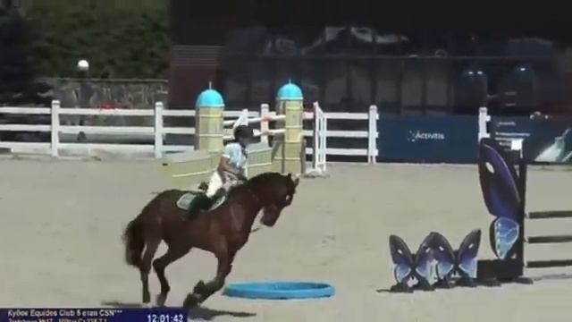 Красавчик 04 продажа лошадей esuhorses.com
