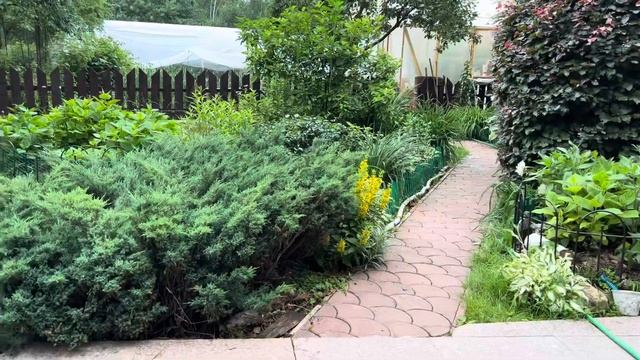 Хочу порадовать москвичей своими прекрасными цветами