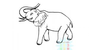 Нарисуй картинку тема животные учимся рисовать как рисовать животных How to draw Лев Слон Бегемот