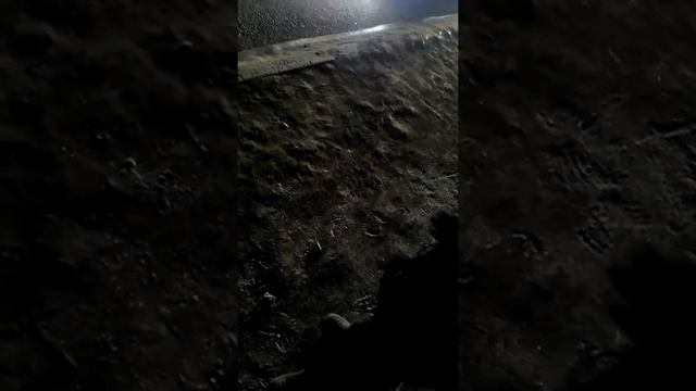 Да чего довели вымогательства денег учителей у учиников смотреть онлайн