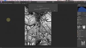 The Best Free Photo Library Manager for Affinity Photo