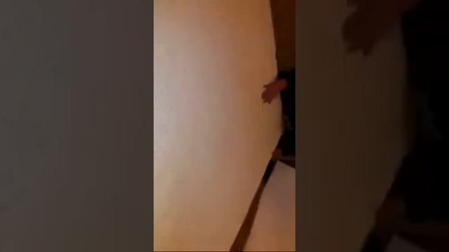 Натуральный латекссный матрас из Тайланда: обзор и ремонт смотреть онлайн