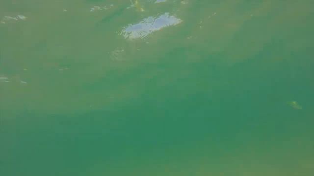 ☀︎VLOG: Анапа//день 10//Vikki Tube☀︎ смотреть онлайн