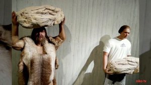 Неандертальский музей в Дюссельдорфе в Германии