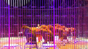 Цирк на Фонтанке. Санкт-Петербург. Circus on Fontanka. Saint-Petersburg.