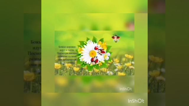 Занятие по ФЭМП в старшей группе