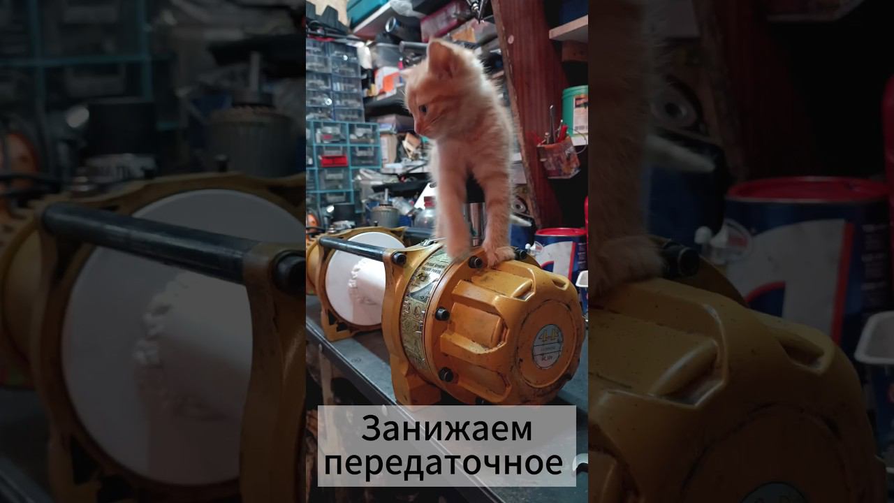 Занижаем передаточное #lebedkaservice #лебедкасервис #лебедка #goldenpower #голден #трофи #автоспорт