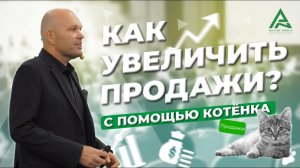 Как увеличить продажи с помощью котёнка. Дмитрий Норка..mp4