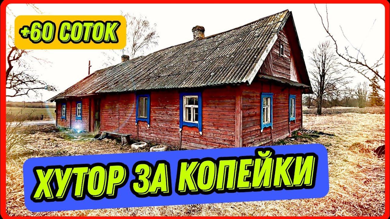 Обзор дома в дерене. Участок, постройки - все в плачевном состоянии. #купитьхутор #купитьдом
