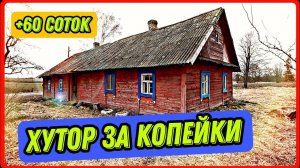Обзор дома в дерене. Участок, постройки - все в плачевном состоянии. #купитьхутор #купитьдом