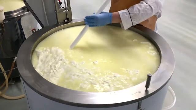 Варим сыр