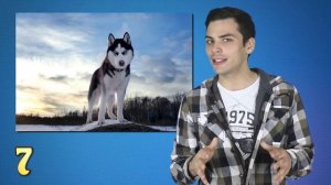 10 ИНТЕРЕСНЫХ ФАКТОВ ПРО СИБИРЬ