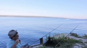 Природа, рыбалка, сазан! Шикарная фидерная рыбалка на Волге. День первый.