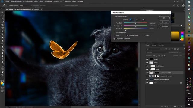 Одинокий Кот. Фотошоп за 5 минут.