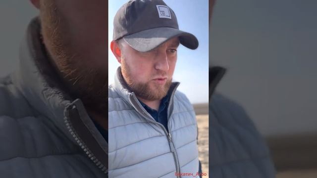 Горчак ползучий!