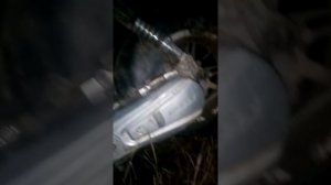 Обзор на скутер Стелс вортекс 50.