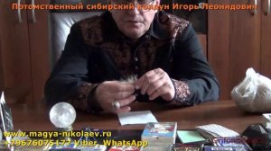 Приворот на шерсть верблюда. Арабская магия вуду.