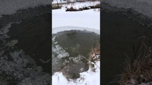 ПРУД ЗИМОЙ! Совет по аэрации
