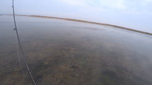 НАСКВОЗЬ ПРОМОК НО ДОВОЛЬНЫЙ КАК СЛОН / РЫБАЛКА НА БАЗЕ ПРИГИБСКИЙ ЛИМАН / ЩУКИ КАК ДЕЛЬФИНЫ
