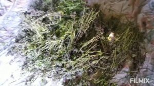 Лучшая приправа к мясу/ тимьян/#тимьян #приправа