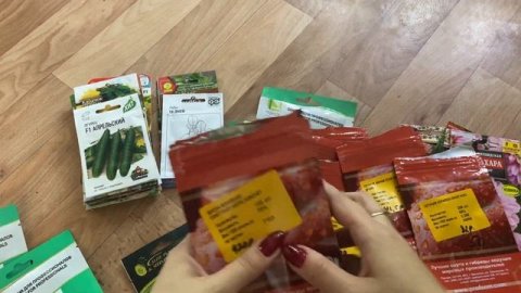 Семена на 2024 год. Профессиональные семена