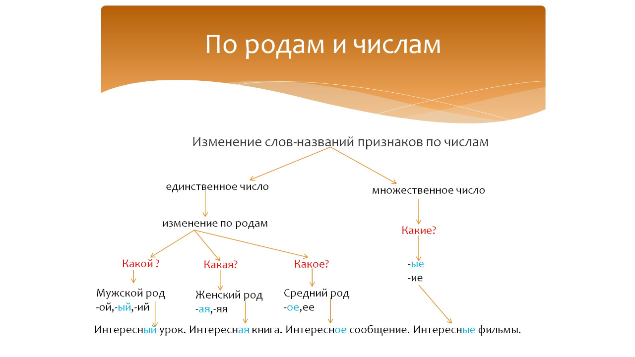 Изменение слов-названий признаков по числам и родам.Русский язык 2 класс.ПрограммаЭльконинаДавыдова.