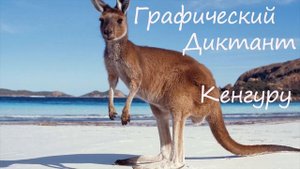 Графический Диктант Кенгуру