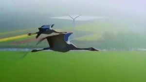 #"Россия" #Андрей Никольский