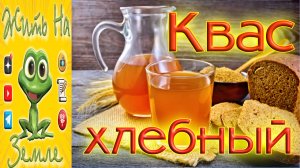 Вкусный квас из ржаного хлеба
