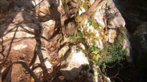 Агурские водопады в Сочи
