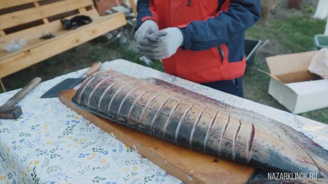 Простая разделка сома на стейки. ТЕСТИРУЕМ НОЖИ Овод и Тяпка от Кузницы Назарова В.В.