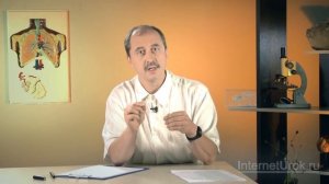 Ткани. Ткани растений. Продолжение. Видеоурок по биологии 5 класс