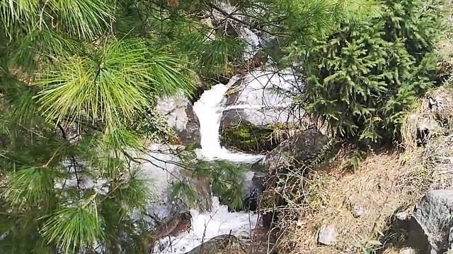 Пресной воды на земле как был 1 процент, так и остался смотреть онлайн