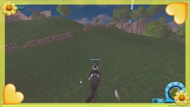 Покупка лошадей #13|Новые лошадки|Тинкер|Тракен|Star Stable|SSO смотреть онлайн