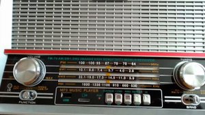 SW 19m-22m / MCK 12.10/ "RITMIX"RPR-102