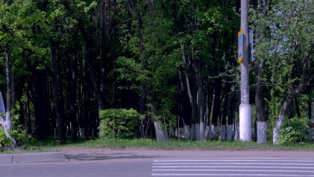 Красногорск смотреть онлайн