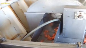 Креветки. Ловля и готовка на судне, в море