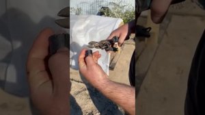 Чем закрепить укрывной материал для парника.