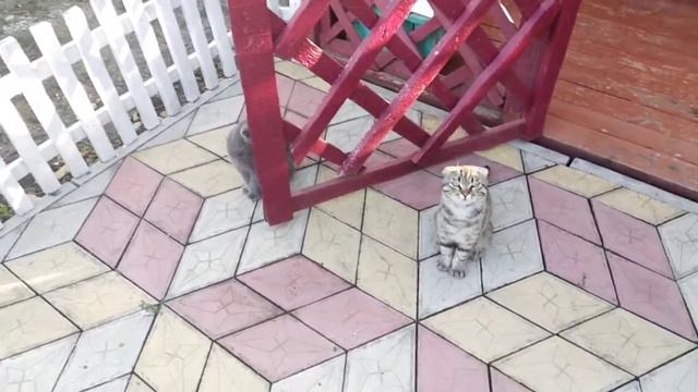 День рождения у жены. Шашлычок смотреть онлайн