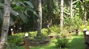 Индия, Южный Гоа, отель AlaGoa, наш бунгало и местный гость!