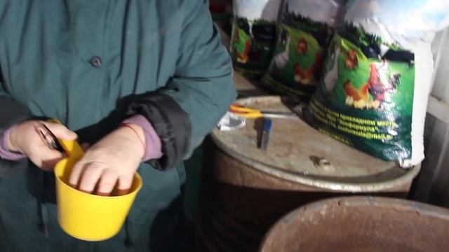 ТЕПЕРЬ КУРЫ ЗИМОЙ НЕСУТСЯ ДАЖЕ БОЛЬШЕ ЧЕМ ЛЕТОМ! ЧТО ИЗМЕНИЛА В КОРМЛЕНИИ.