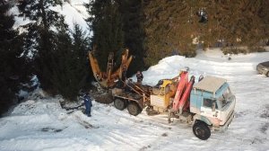 Посадка крупномеров - Ель обыкновенная 6-7 метров